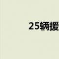 25辆援助物资卡车进入加沙地带