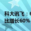 科大讯飞：618大促业绩出炉，硬件销售额同比增长60%