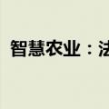 智慧农业：法院裁定受理间接控股股东重整