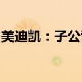 美迪凯：子公司拟增资扩股引入战投服贸基金