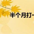 半个月打一字什么字（半个月打一字）