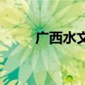 广西水文测报应急响应提升为Ⅱ级