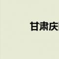甘肃庆阳启动国产万卡算力项目