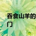 吞食山羊的80斤巨蟒已被收容：移交林业部门