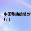 中国移动动感地带有哪些套餐（中国移动动感地带网上营业厅）