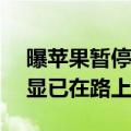曝苹果暂停研发Vision Pro 2：更便宜的头显已在路上