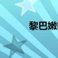 黎巴嫩南部多个城镇遭以军袭击