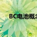 BC电池概念震荡走低 时创能源跌超5%