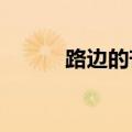 路边的芒果桃子李子不要轻易摘