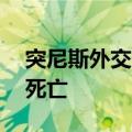 突尼斯外交部：35名突公民在沙特朝觐期间死亡
