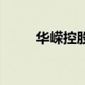 华嵘控股：公司目前经营活动正常