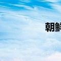 朝鲜授予普京金日成勋章