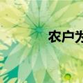 农户为漫山遍野杨梅树搭蚊帐