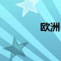 欧洲5月汽车销量下降2.6%