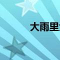大雨里大爷背着大妈涉水过马路