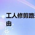 工人修剪路边树&#32;路人实现椰子自由