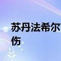 苏丹法希尔市冲突持续 多地遭袭致数十人死伤