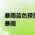 暴雨蓝色预警！河南南部等地部分地区有大到暴雨