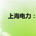 上海电力：拟向重燃能科增资5750万元