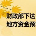 财政部下达2024年可再生能源电价附加补助地方资金预算