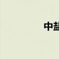 中盐化工金属锂项目开产