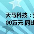 天马科技：预计上半年净利润5000万元到6500万元 同比扭亏