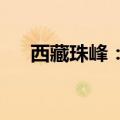 西藏珠峰：因信息披露违规被通报批评