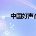 中国好声音张玮琪（中国好声音张玮）