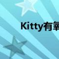 Kitty有氧瘦身操1（kitty有氧瘦身）