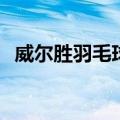 威尔胜羽毛球拍ncode（维尔胜羽毛球拍）