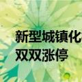 新型城镇化概念震荡走高 新城市、舜宇股份双双涨停