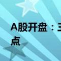 A股开盘：三大指数集体低开 沪指失守3000点