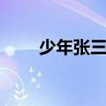 少年张三丰电视剧（张三丰电视剧）