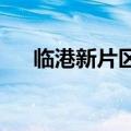 临港新片区外籍人士服务中心正式揭牌