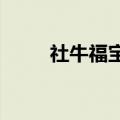 社牛福宝和社恐奶爸的反差感组合