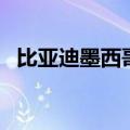 比亚迪墨西哥工厂将创造约1万个工作岗位