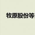 牧原股份等多只权重股尾盘集合竞价跳水