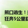 熊口逃生！男子上山采菌被熊咬掉一半鼻子，狂奔5公里获救