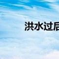 洪水过后女子将整条街电动车扶起