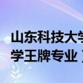 山东科技大学王牌专业等级排名（山东科技大学王牌专业）
