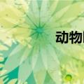 动物园火烈鸟下班一路狂奔
