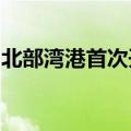 北部湾港首次开展大批量储能柜整船出口业务