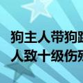 狗主人带狗跳舞未拴牵引绳，犬只乱跑绊倒他人致十级伤残