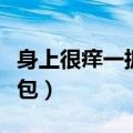 身上很痒一抓就起小包（身上特别痒一抓变小包）