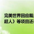 完美世界回应裁员传闻：（人员调整）一直在进行，《一拳超人》等项目还在研发