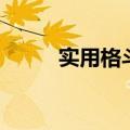 实用格斗术张洪骠（实用格斗术）