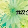 武汉合众易宝更名为抖音支付