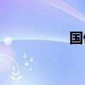 国债期货开盘全线平开