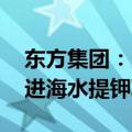东方集团：多举措积极应对财务状况 稳步推进海水提钾项目
