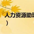 人力资源助理培训内容（助理人力资源师培训）
